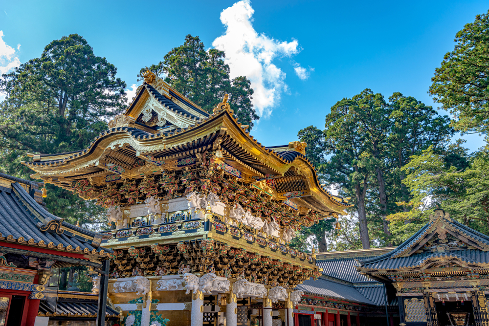 
        Nikko
      